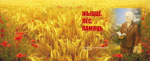 2. Обложка Новик